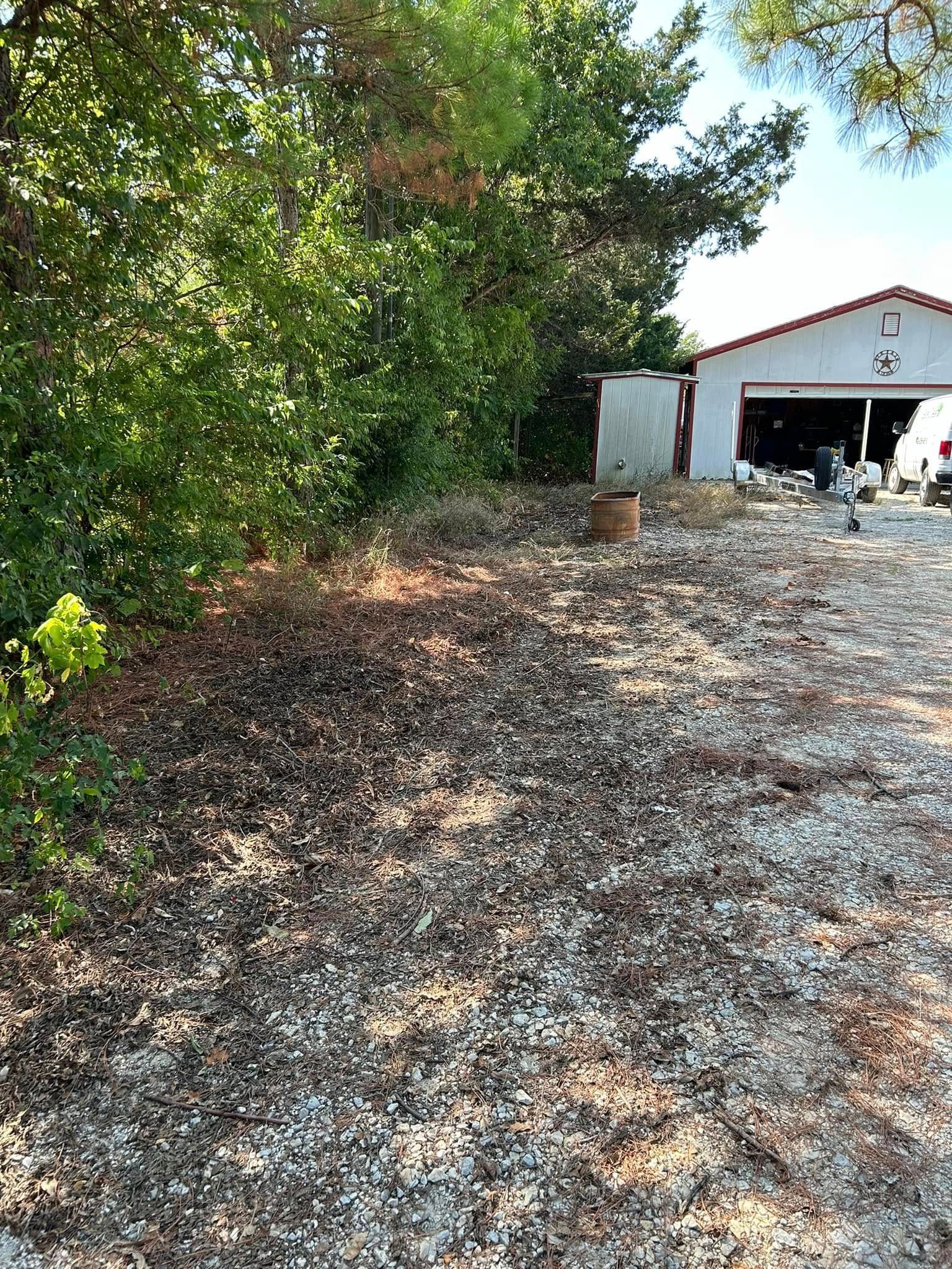 A gravel driveway leading to a garage surrounded by trees and bushes.