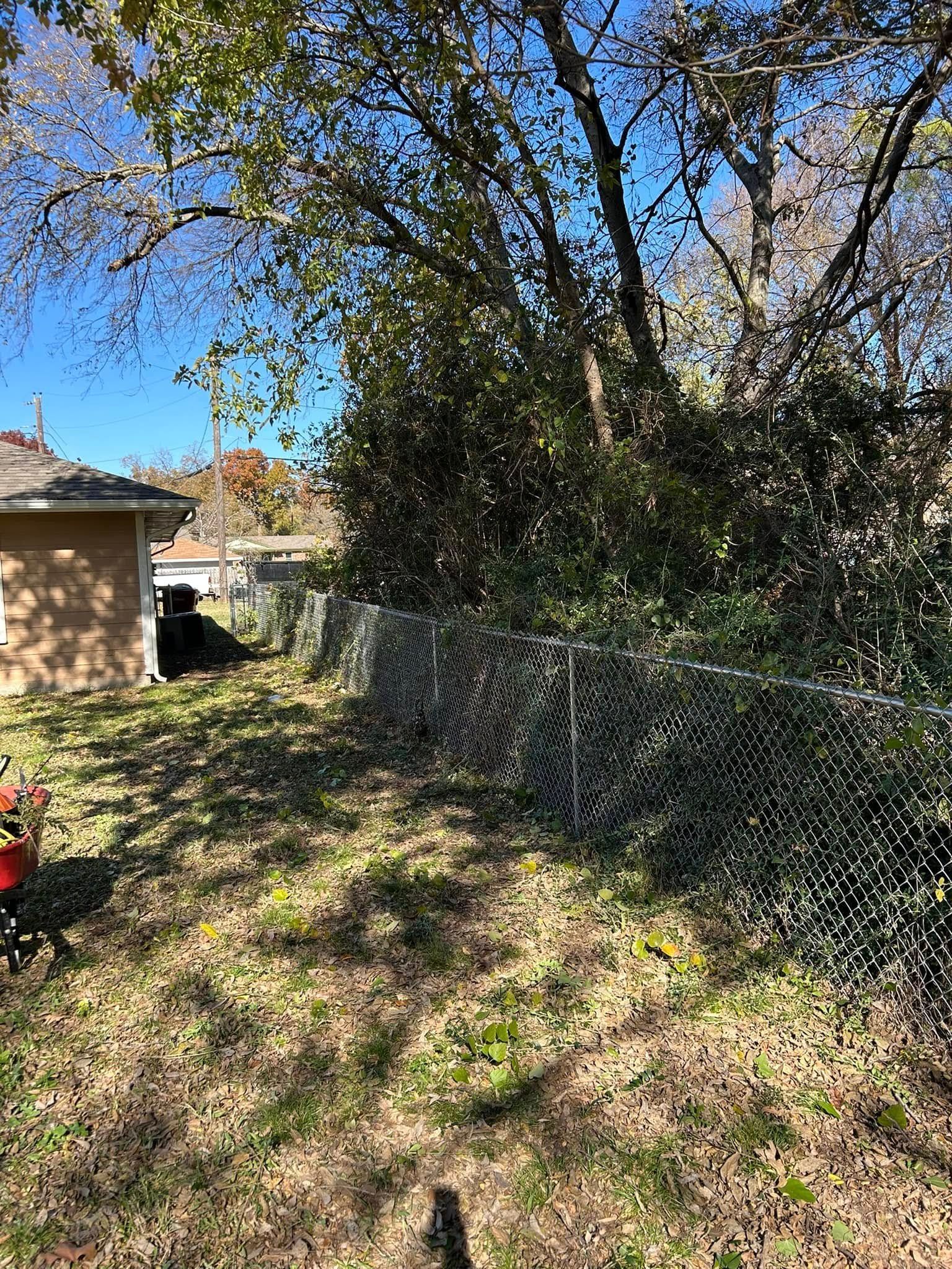 A chain link fence is surrounded by trees in a backyard.