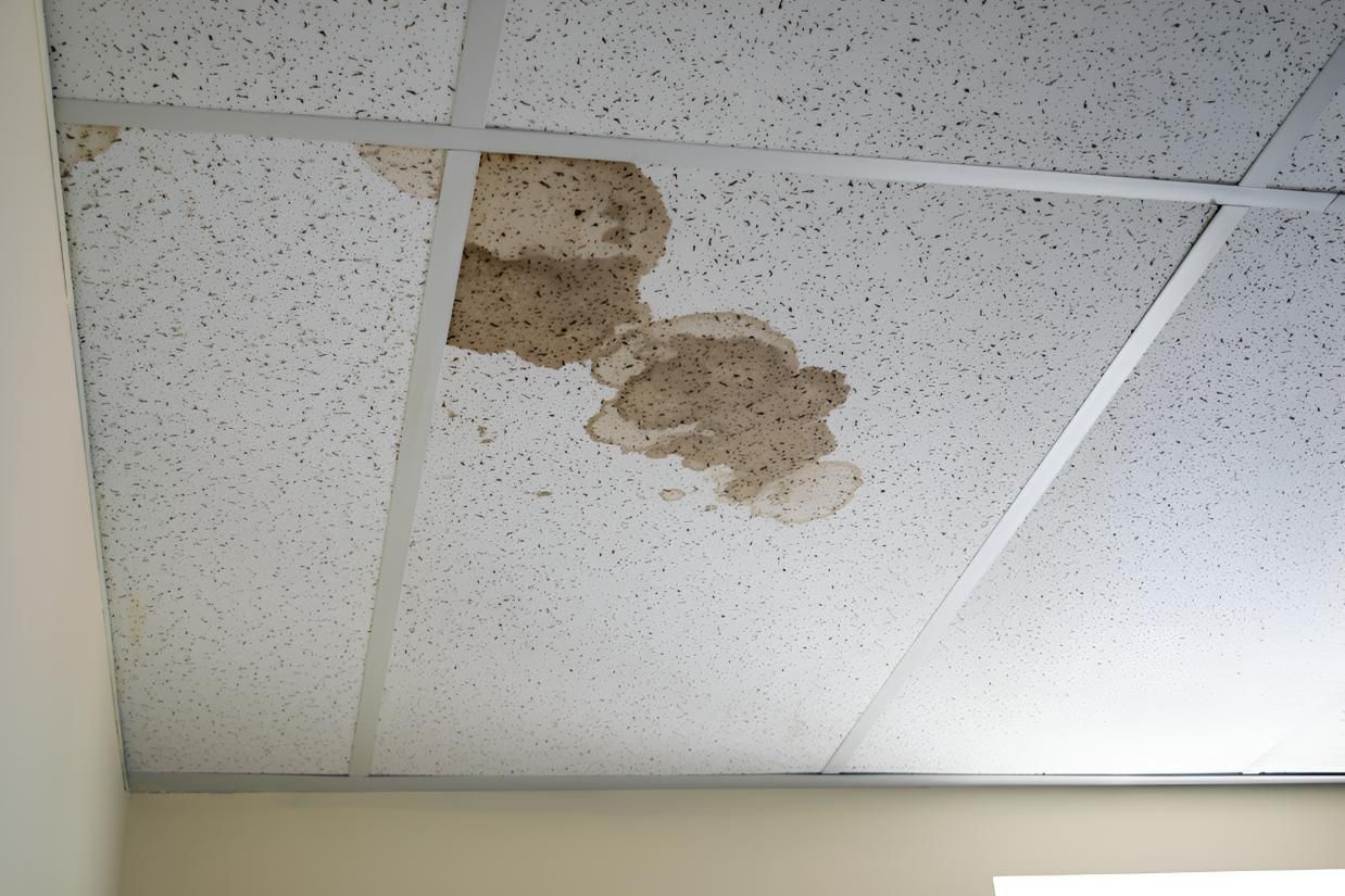 Ceiling With a Lot of Stains on It — Above All Roof Painters & Repairs in Bellmere, QLD