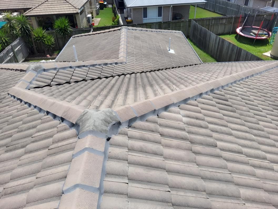 Roof of a House With a Trampoline in the Backyard — Above All Roof Painters & Repairs in Bellmere, QLD