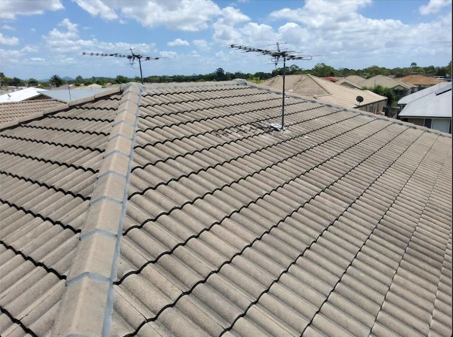 Group of Construction Workers Are Working on a Roof — Above All Roof Painters & Repairs in Bellmere, QLD