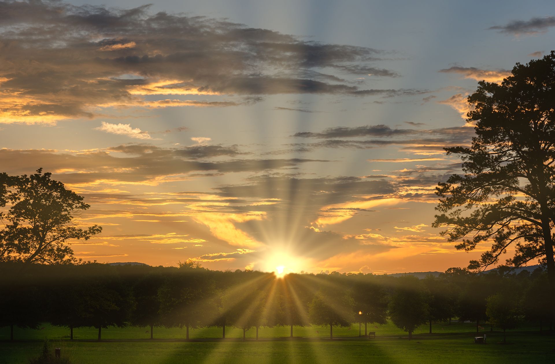 Compassion, Dignity & Respect