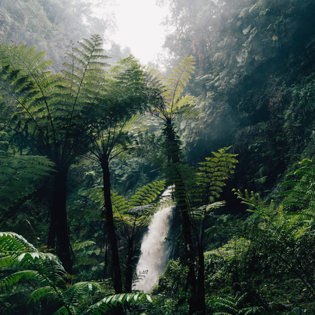 Karambazi Waterfall in Nyungwe Forest National Park
