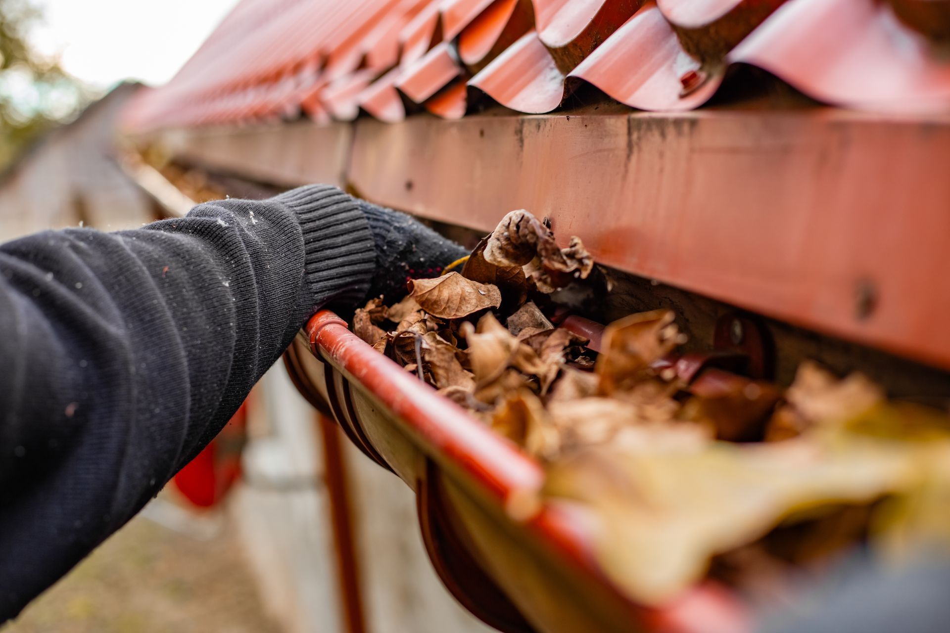 Worker in gloves cleaning out a gutter full of fallen leaves.
