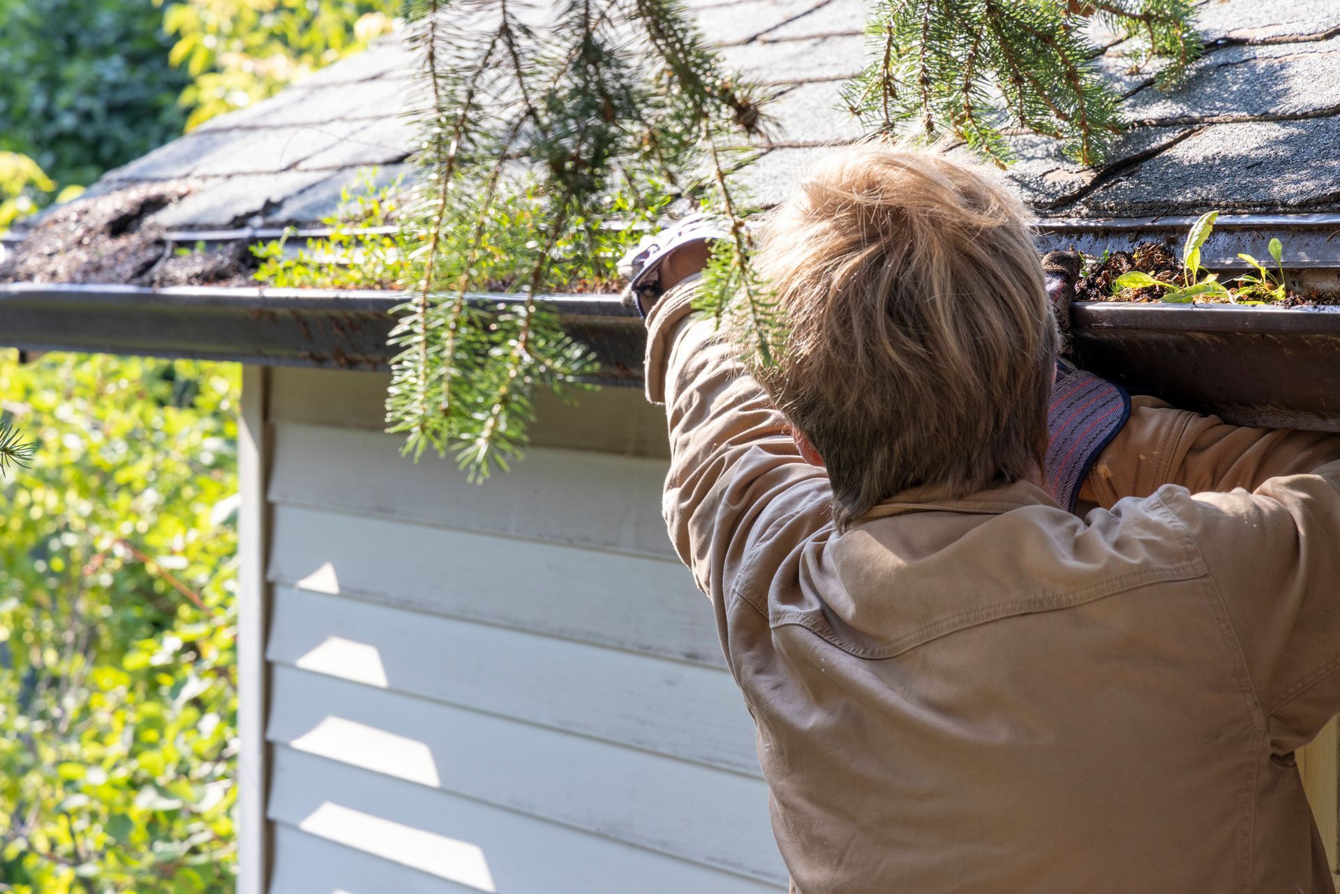 A man clears leaves from a house gutter beneath a tree branch during an outdoor maintenance task. A man clears leaves from a house gutter beneath a tree branch during an outdoor maintenance task.