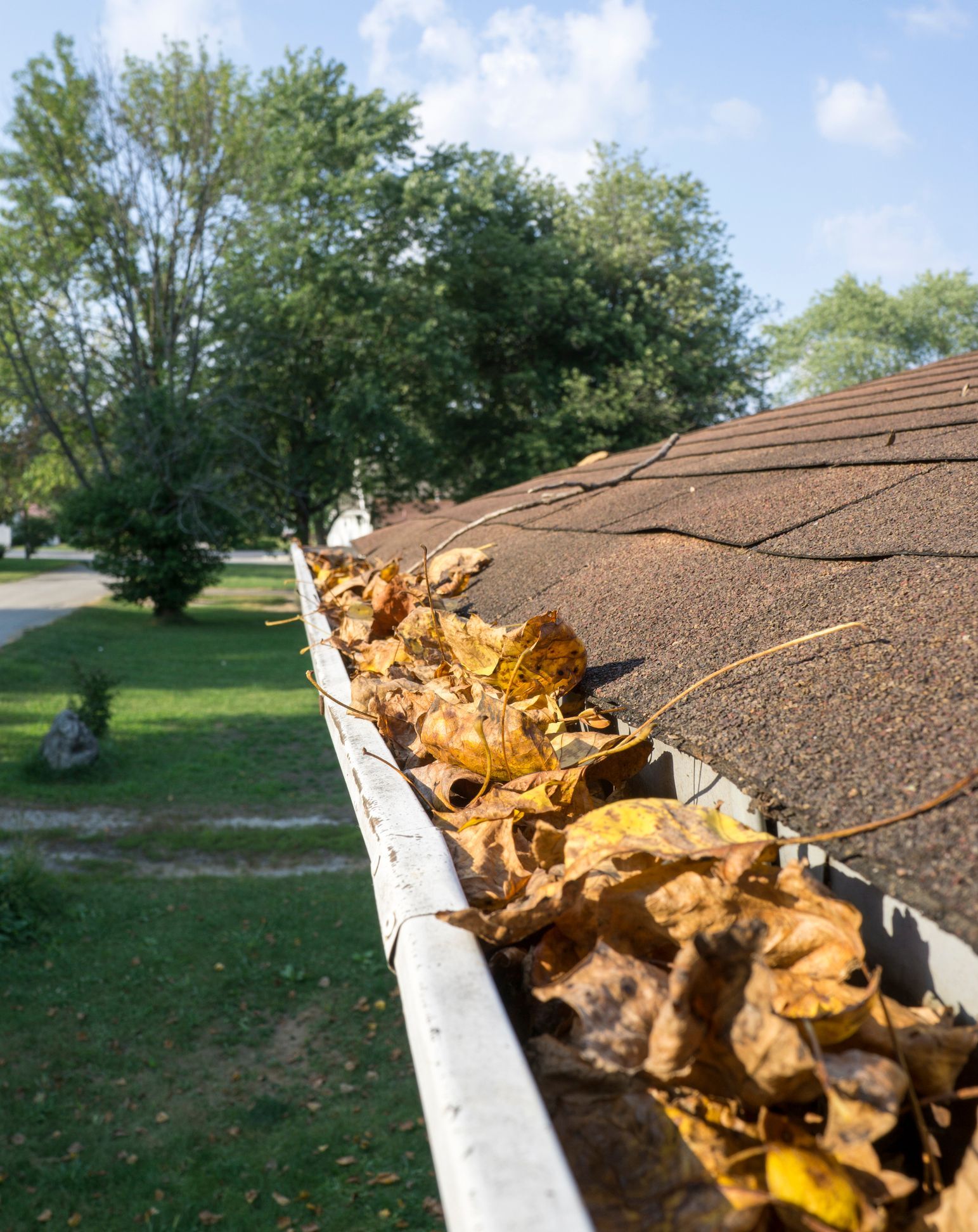 Close-up of brown leaves in a house’s gutter, next to its brown shingles.