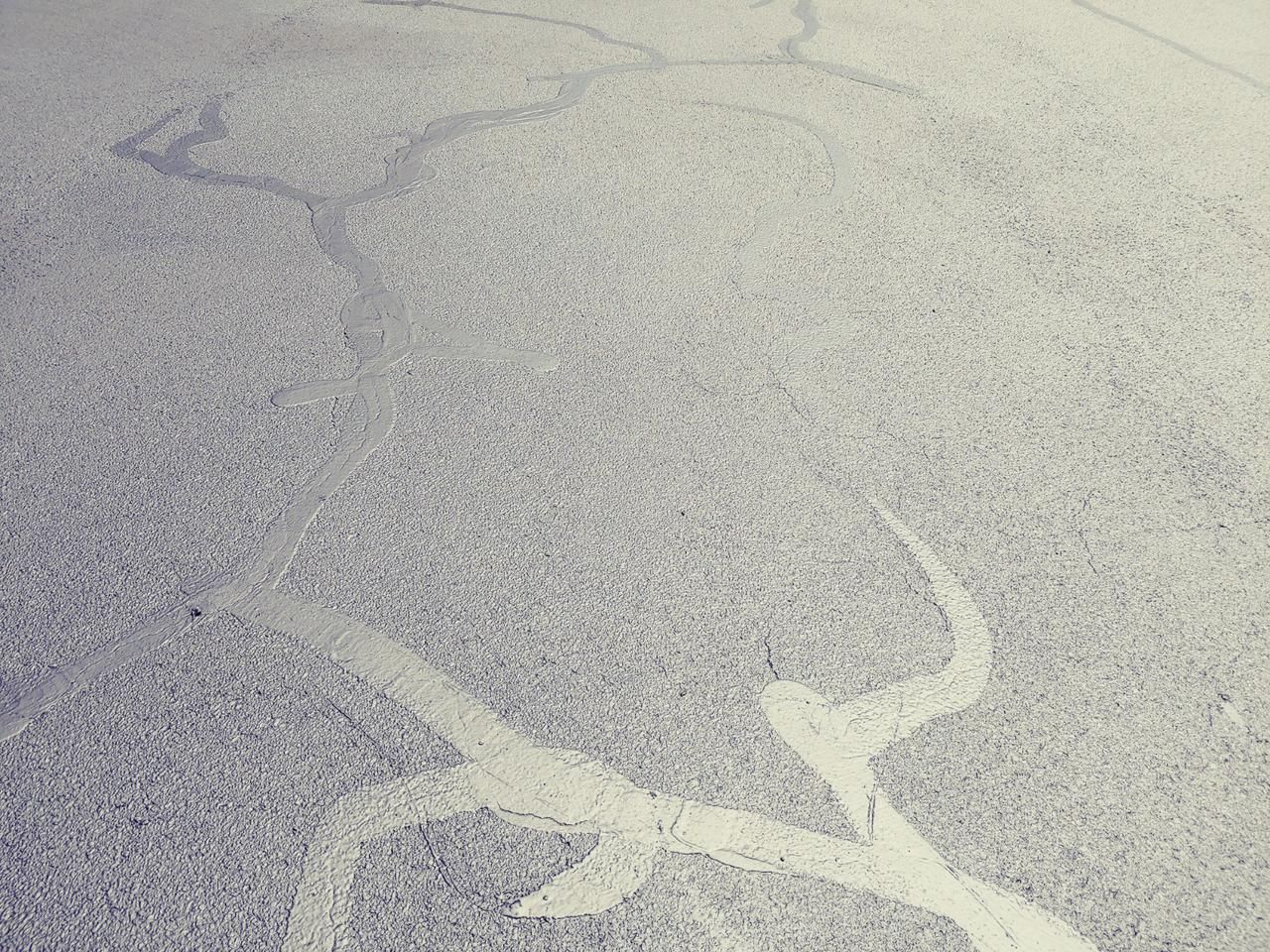 Gray speckled surface with light-colored, branching lines across it.