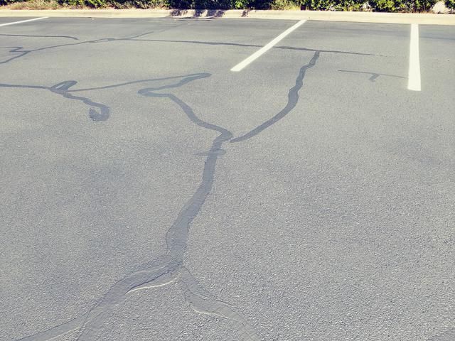 Asphalt parking lot with sealant in cracks. White parking lines and green bushes in the background.