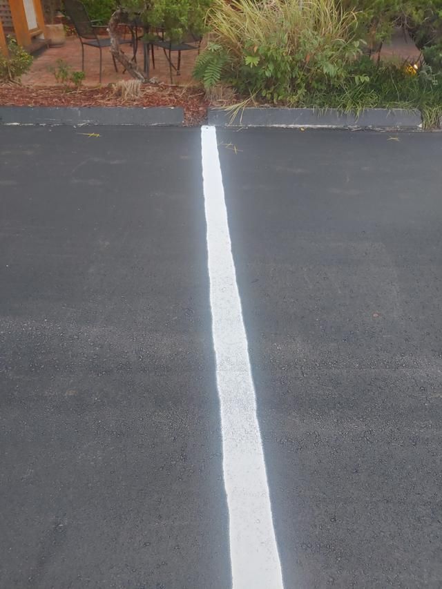 White stripe painted on black asphalt in a parking lot, with vegetation in the background.