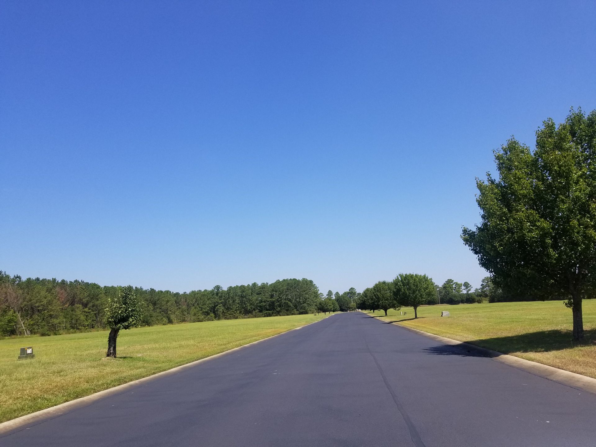 Asphalt road through a grassy area, trees lining the sides, bright blue sky above.