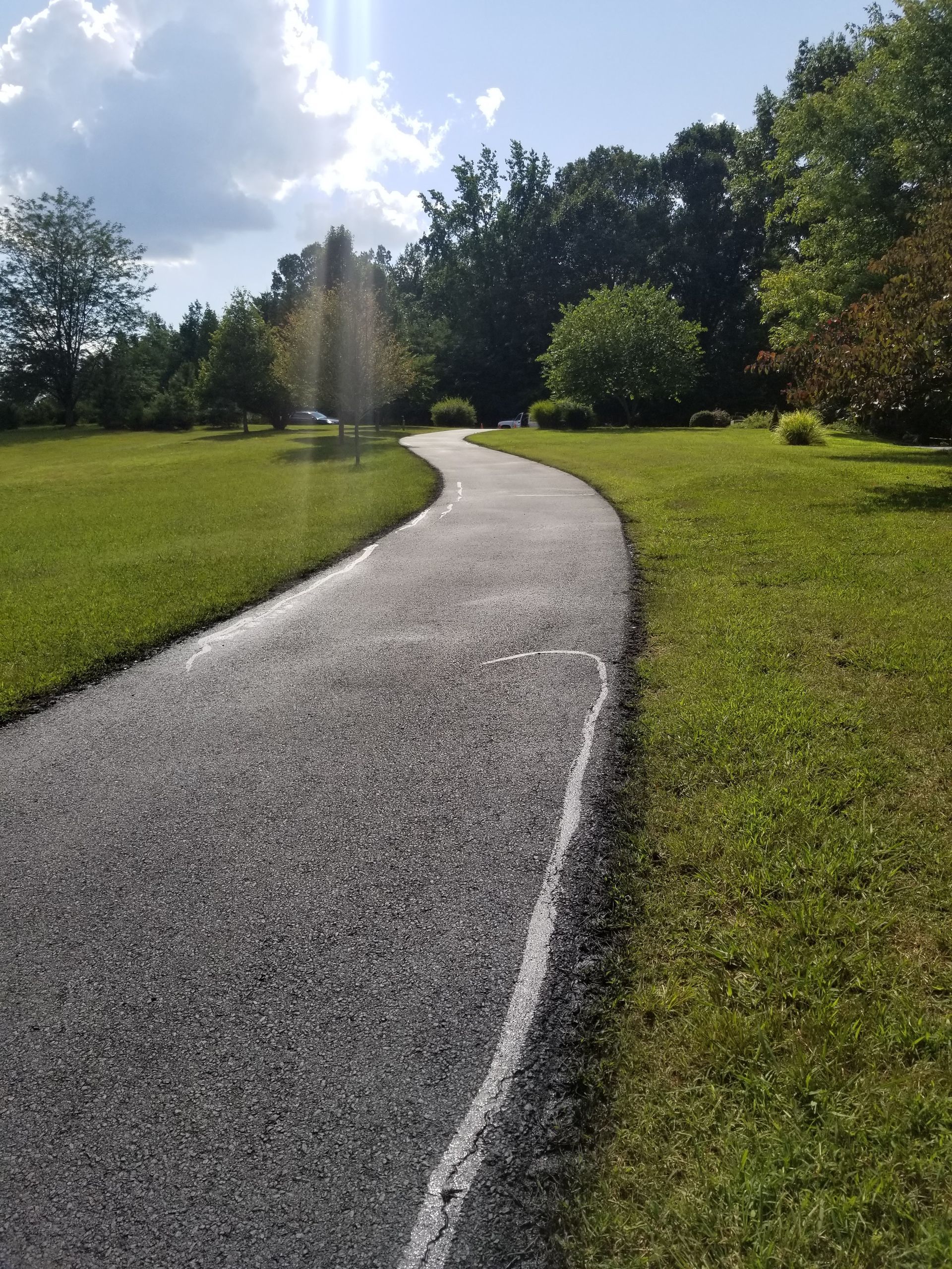 Asphalt path curves through a grassy park toward a sunlit treeline.