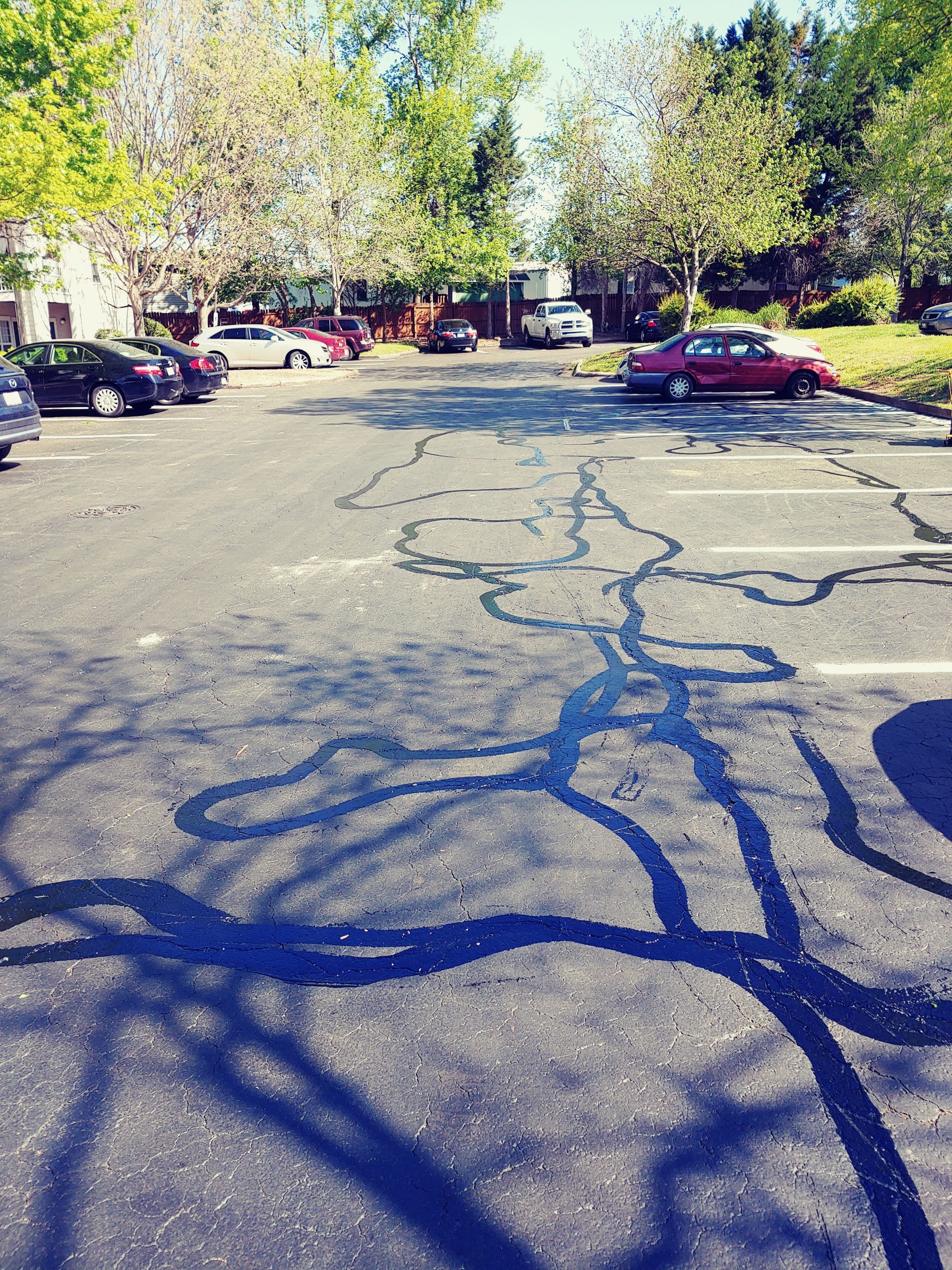 Asphalt parking lot with dark streaks, cars parked, trees in the background.