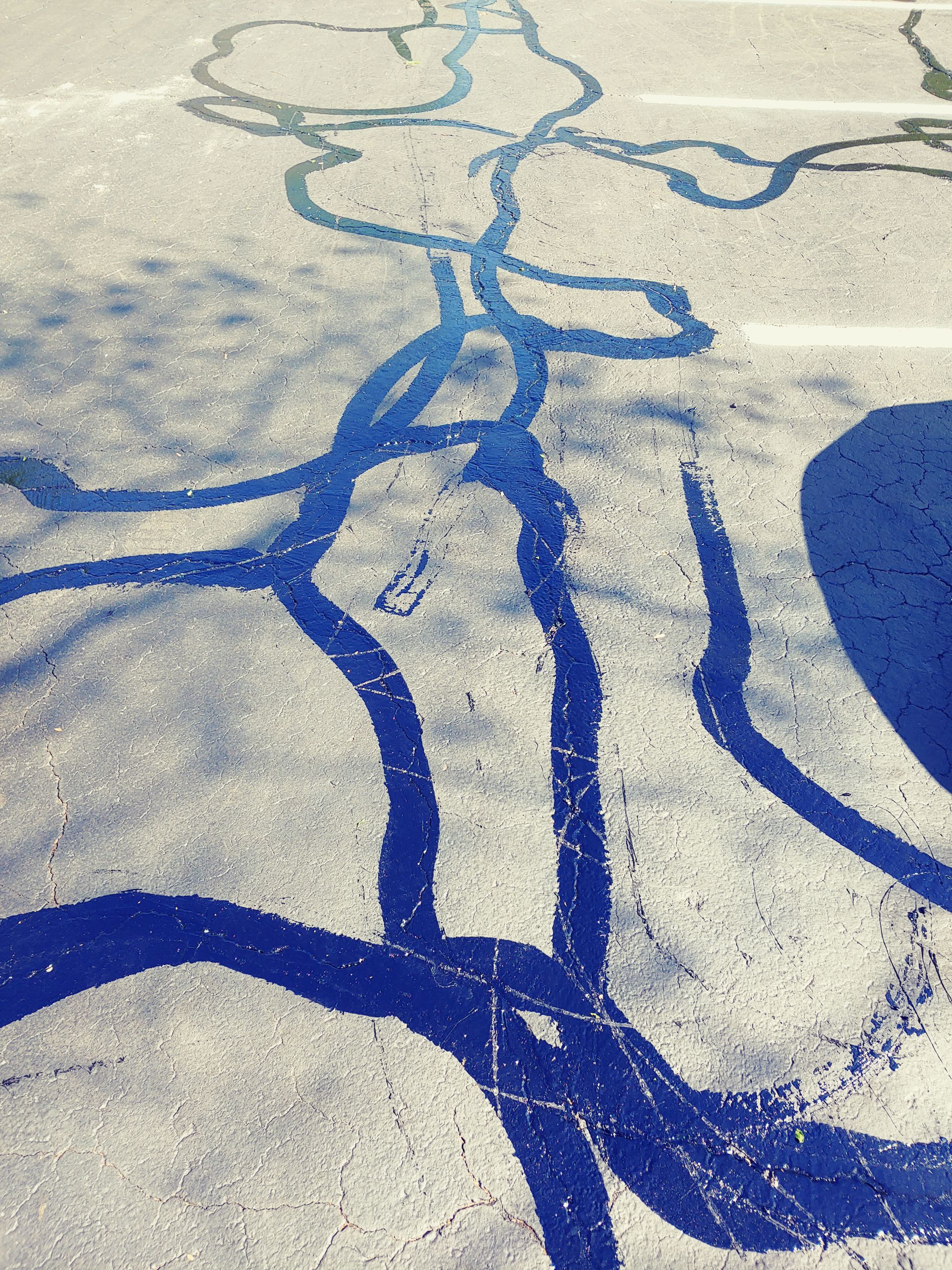 Blue painted lines on a gray surface, resembling a branching river or veins, in sunlight.
