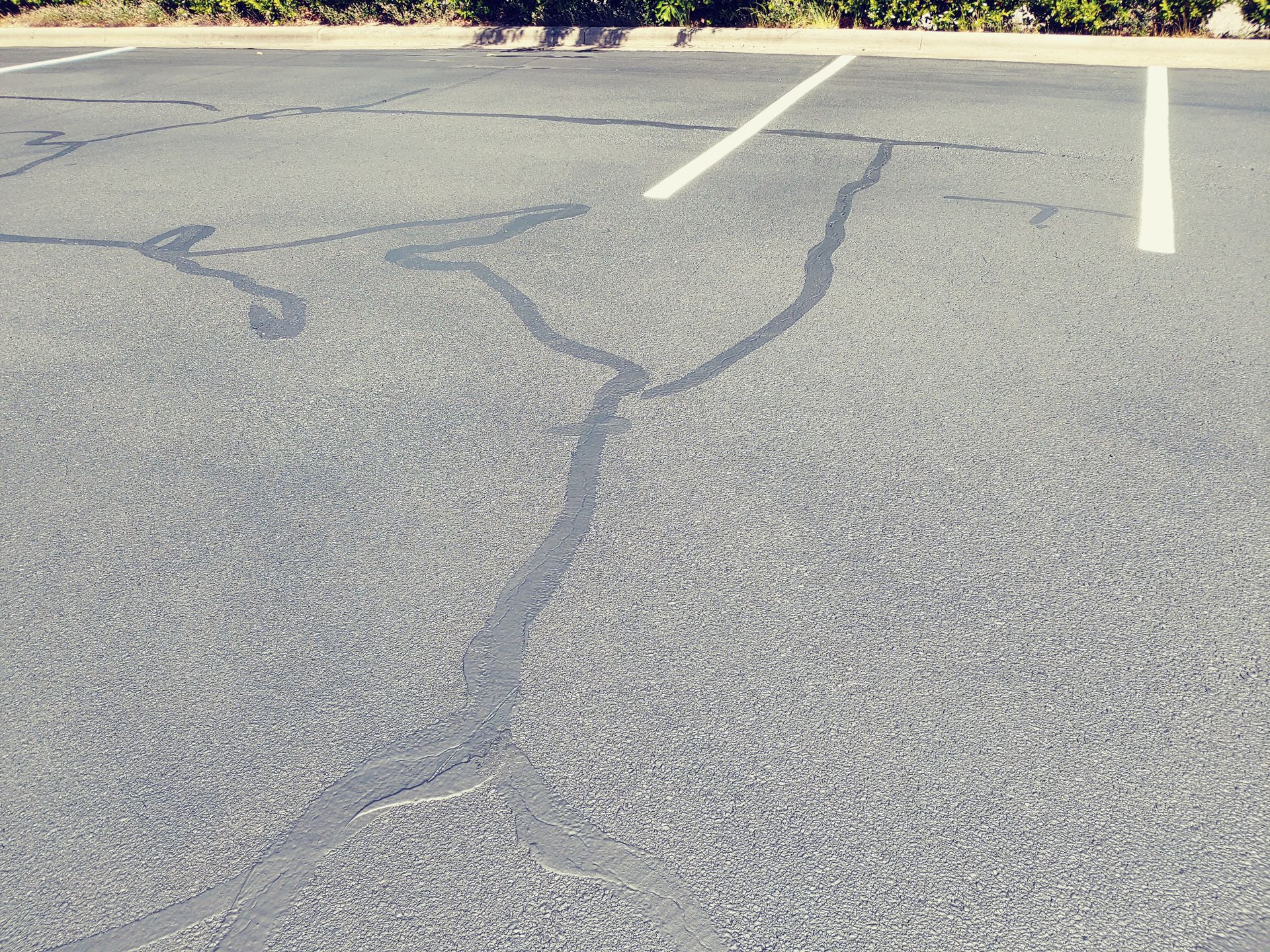 Asphalt parking lot with cracks filled in black; white parking lines.