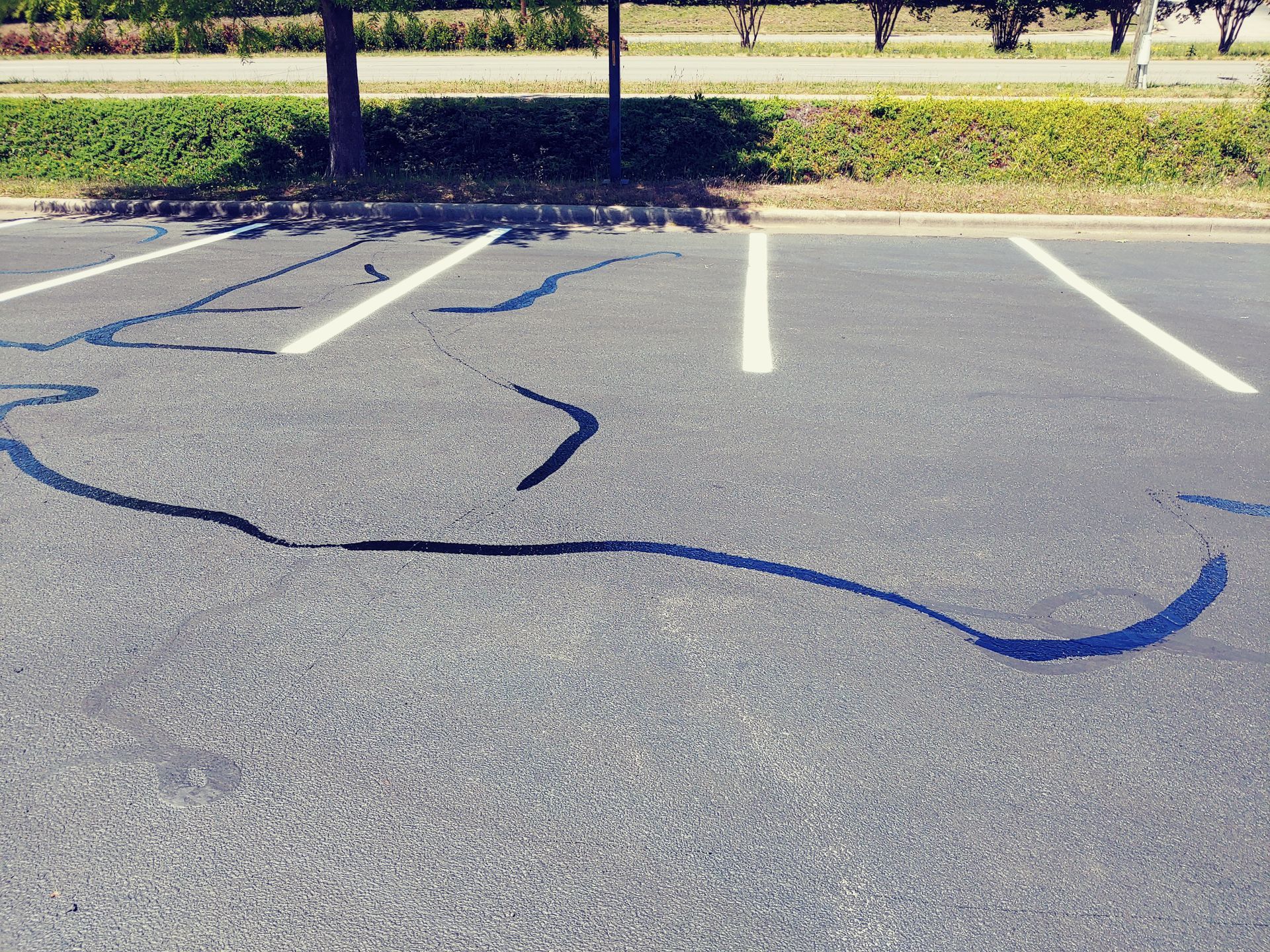 Parking lot asphalt with black sealant covering cracks. White parking space lines and a tree.