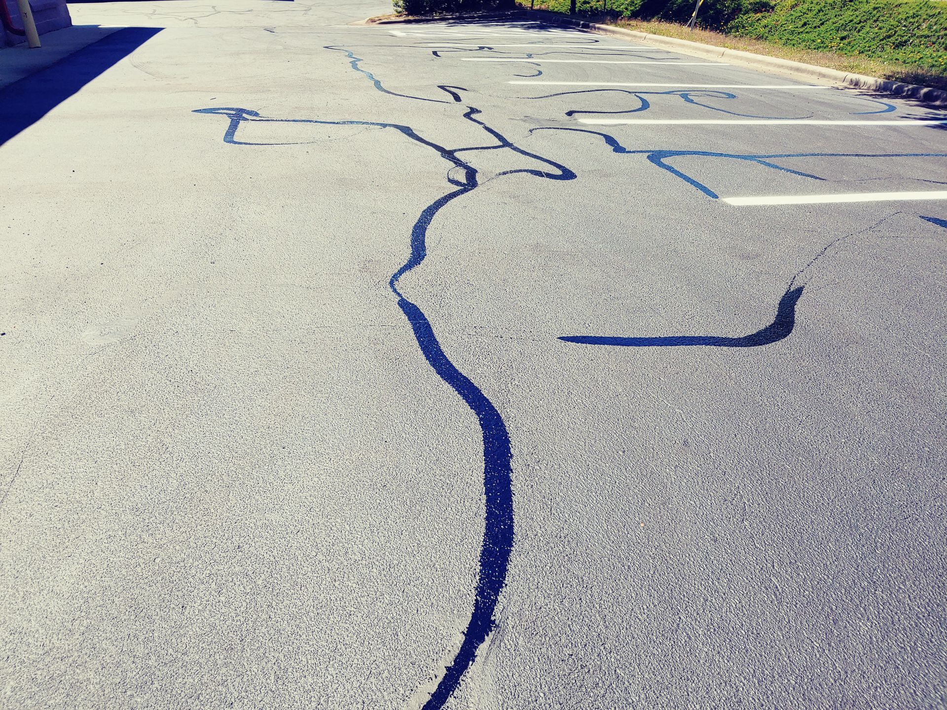 Dark lines painted on asphalt, resembling a branching path or map.