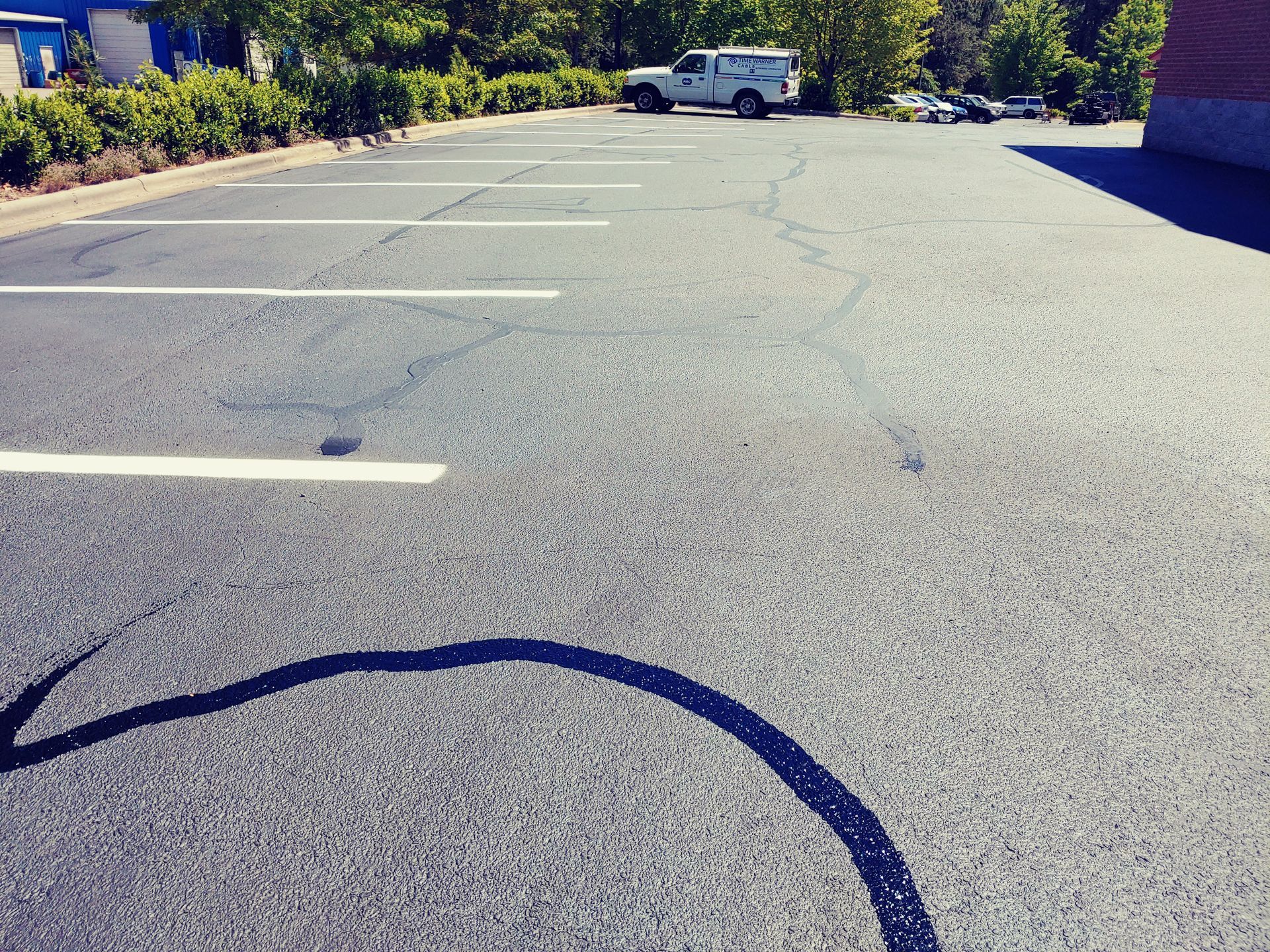 Empty asphalt parking lot with white painted lines and a black tire track on a sunny day.
