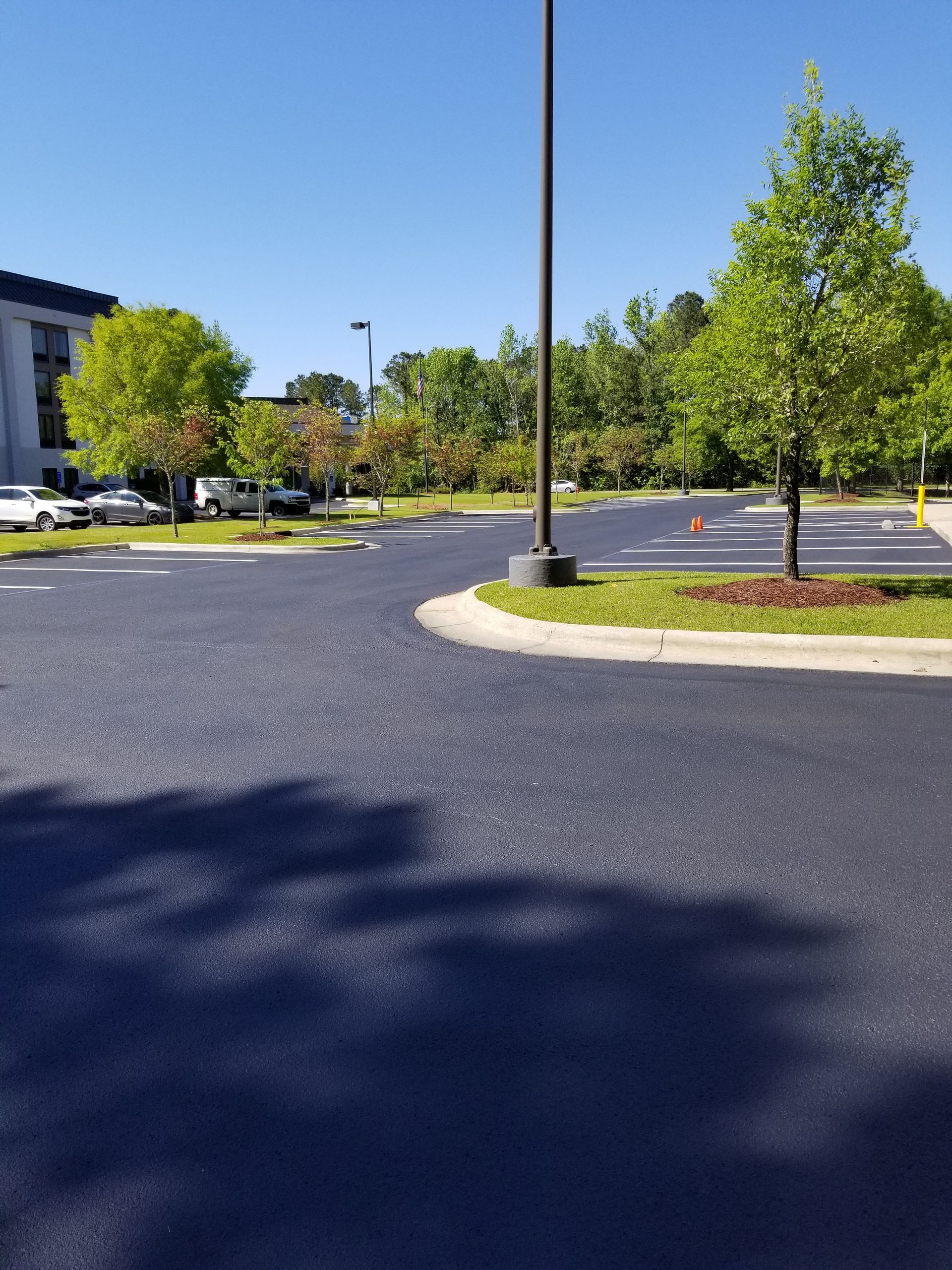 Black asphalt parking lot with trees and a building on a sunny day.