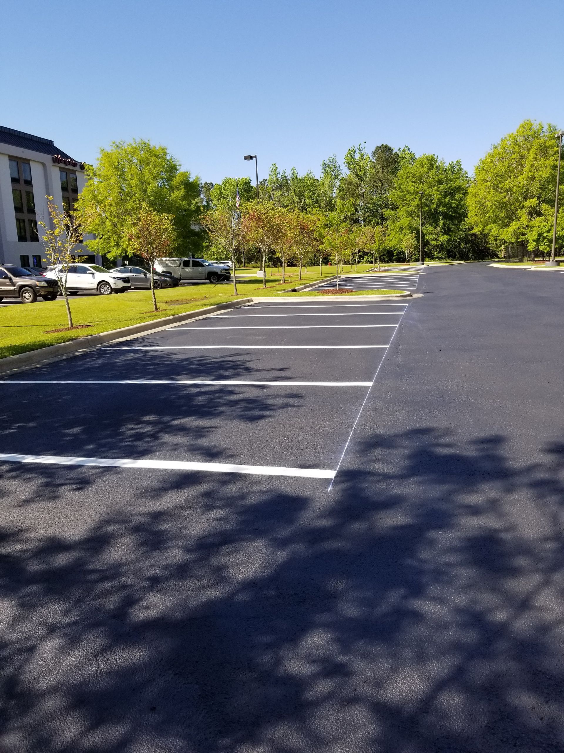 Empty asphalt parking lot with white painted lines, trees, and a building on a sunny day.