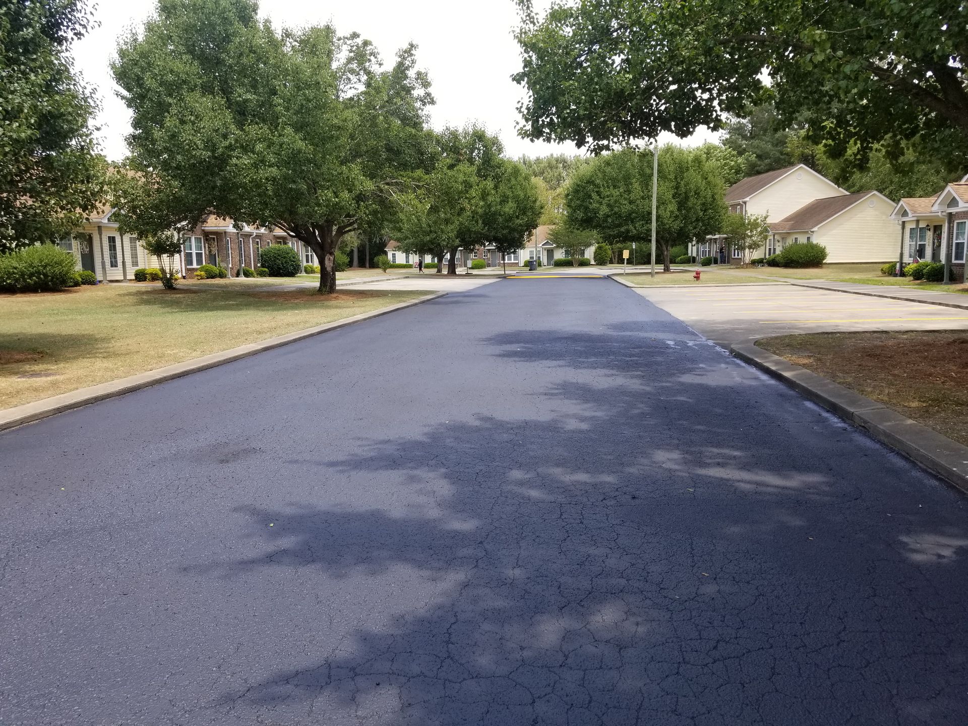 Newly paved asphalt road in a residential neighborhood lined with trees and houses.