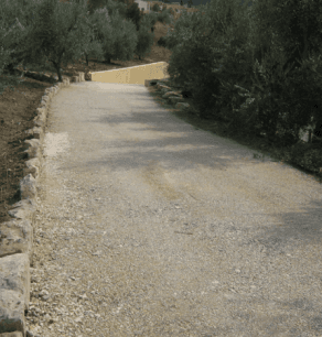 Una strada sterrata con alberi ai lati