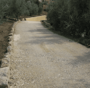 Una strada sterrata con alberi ai lati