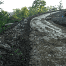 Una strada fangosa con alberi ai lati