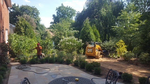 COX Under Construction — Penn Valley, PA — Cox & Co Tree Service COX Under Construction — Penn Valley, PA — Cox & Co Tree Service