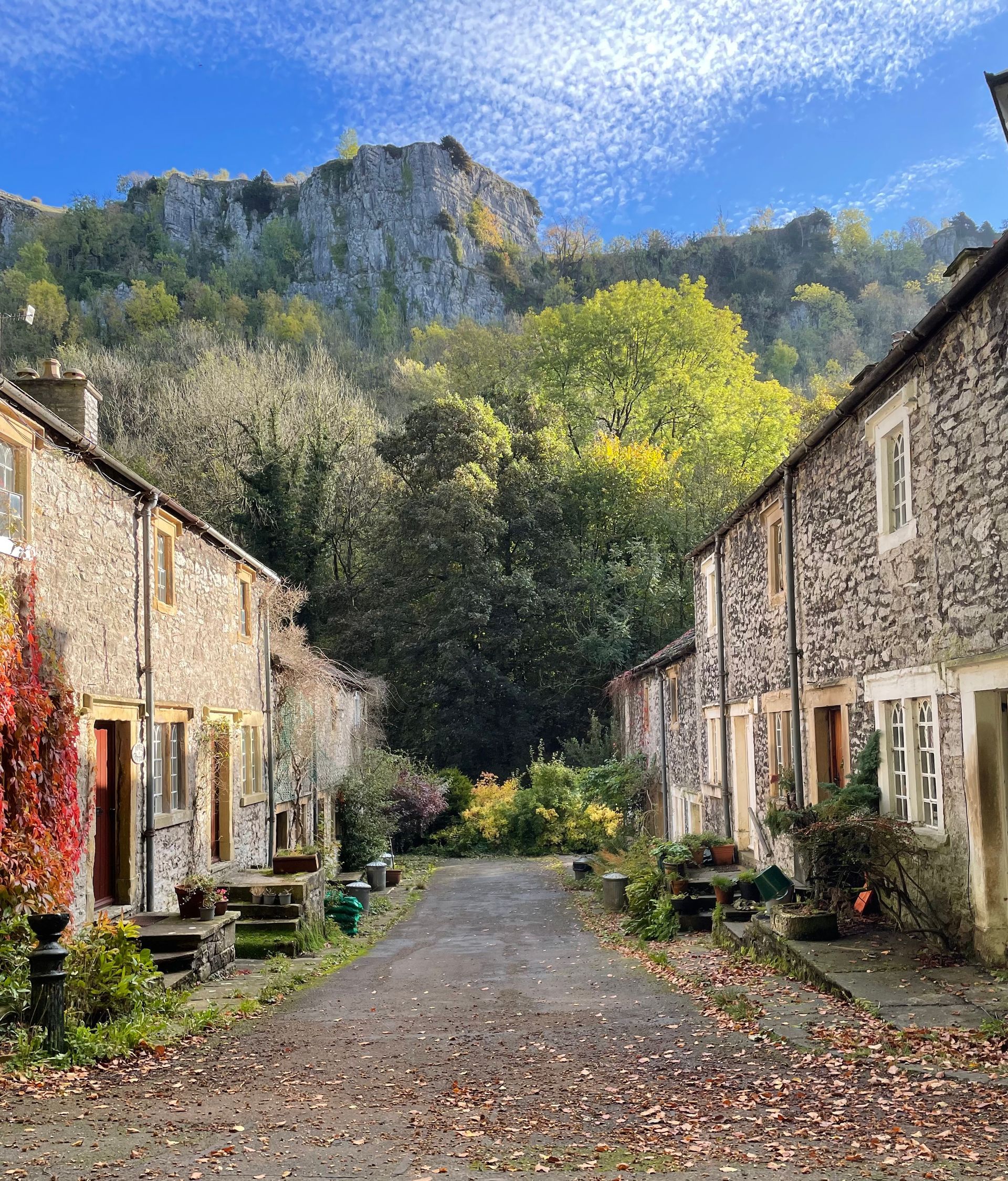 HOME [ravensdale.uk]