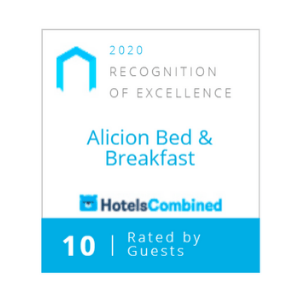 Traveller Review Award for 2020 by Hotels Combined