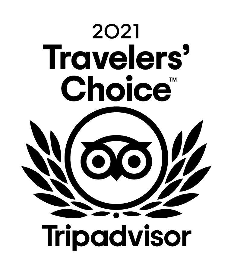 Travelers Choice Award for 2021 by Trip Advisor