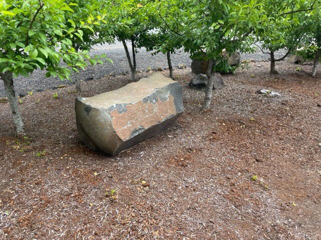 Stone in The Middle of The Trees — Winlock, WA — Good's Quarry