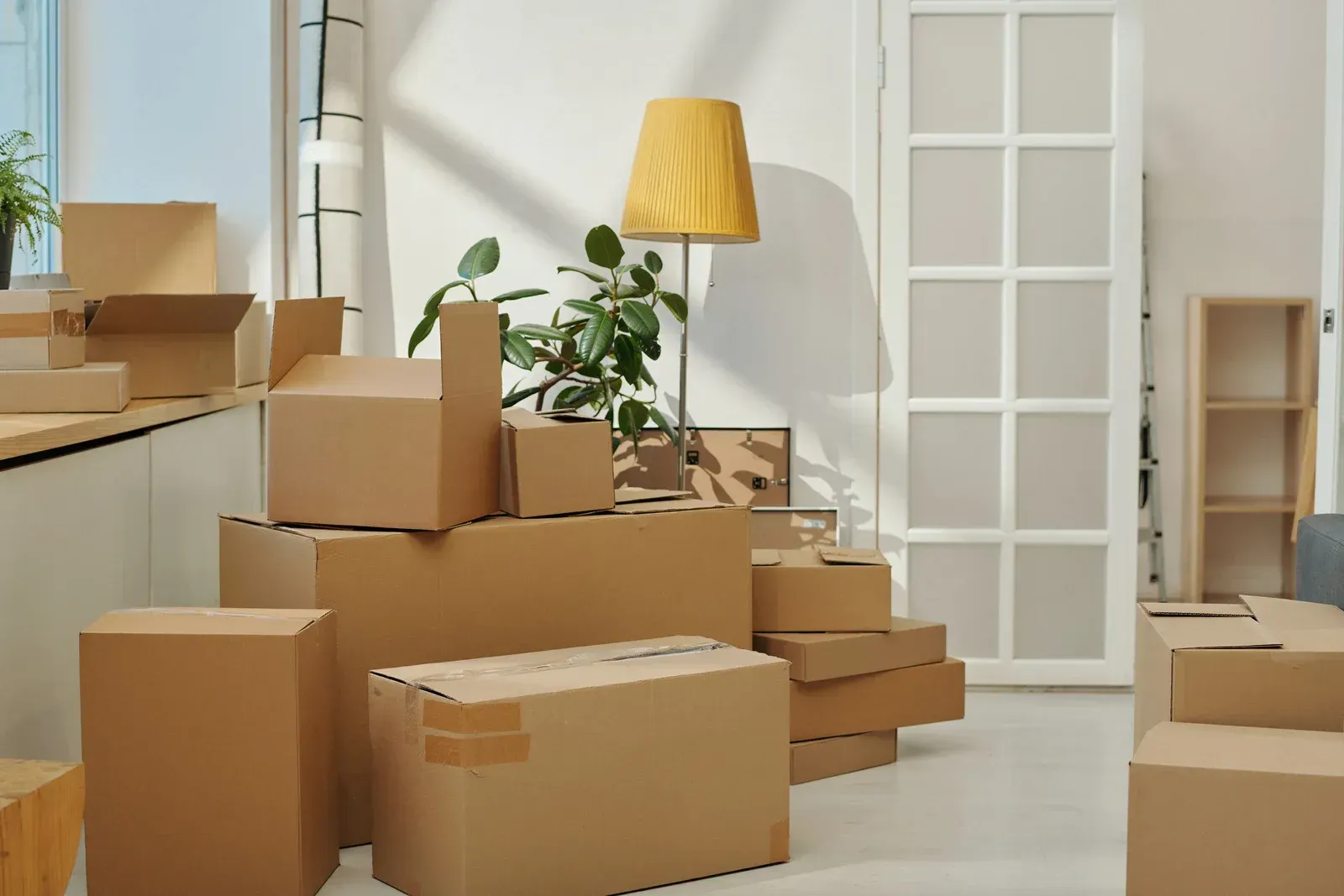 Cardboard moving boxes stacked in a bright room with a yellow lamp and potted plant