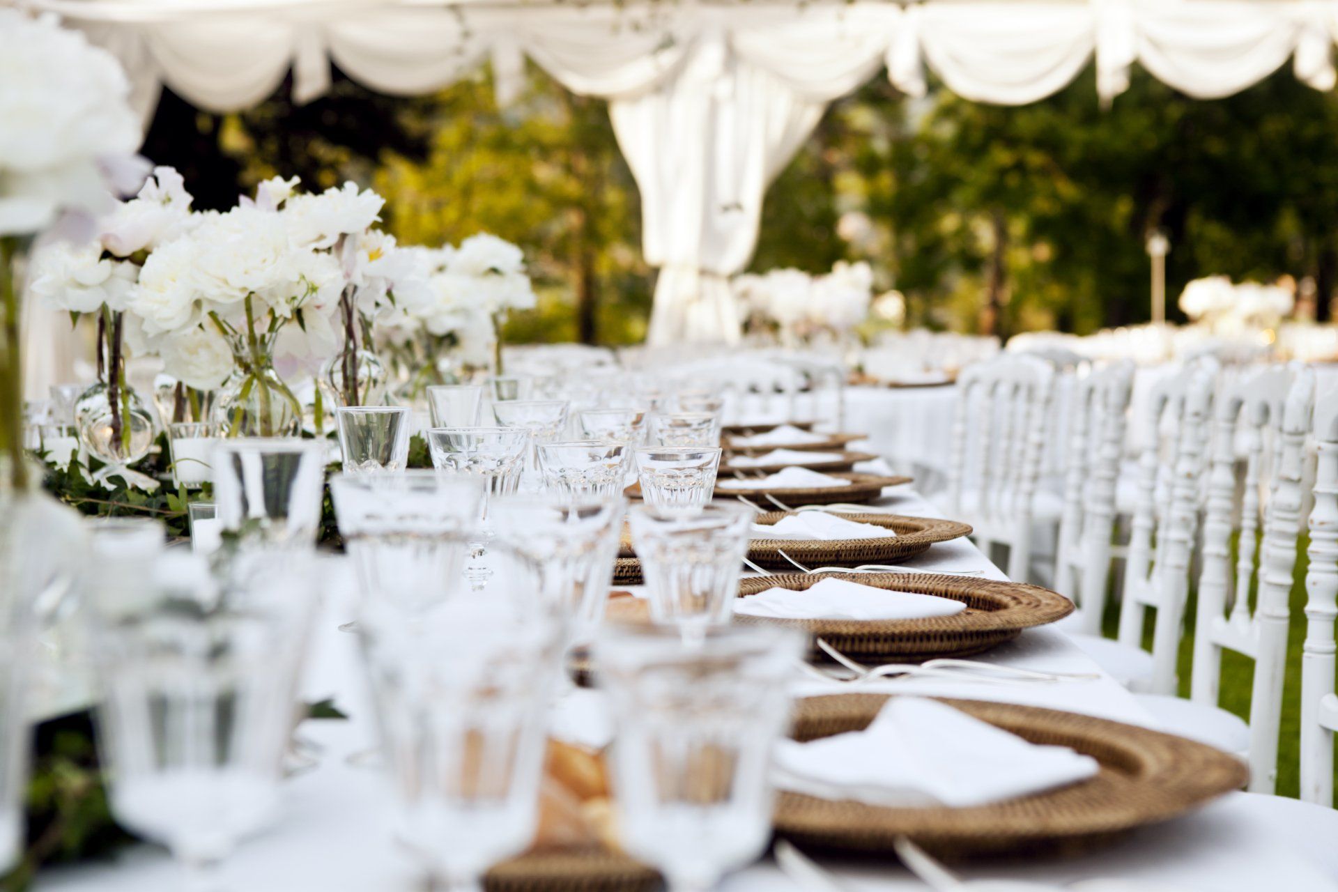 Wedding Reception  — Flagstaff, AZ — Mountain Spirits Co