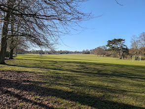 A large grassy field with trees in the background on a sunny day.