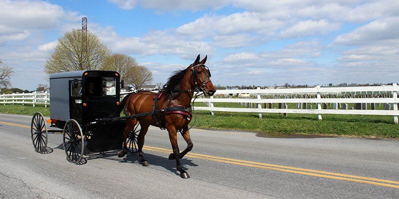 An Amish carriage in Lancaster, PA.