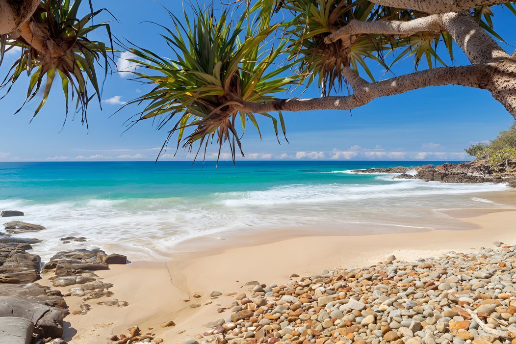 A Beach With a Tree in the Foreground and the Ocean in the Background — Foreshore Kitchens In Coolum Beach, QLD