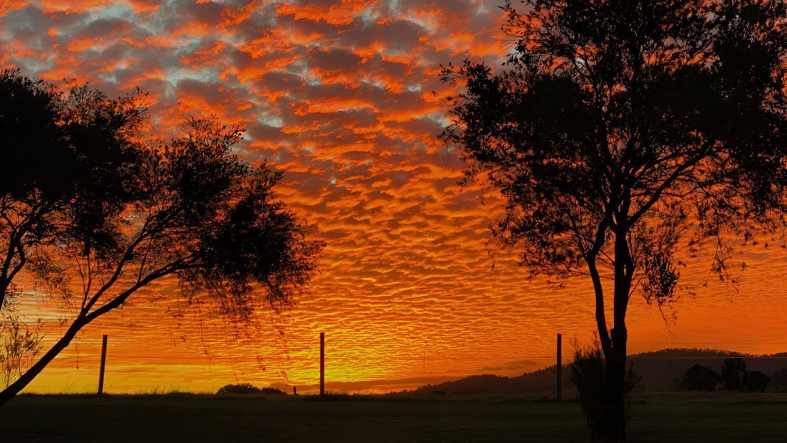 A Sunset With Trees in the Foreground and a Fence in the Background — Foreshore Kitchens In Gympie, QLD