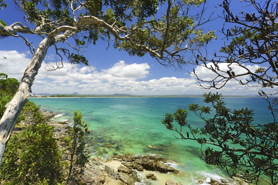A View of the Ocean Through the Trees on a Sunny Day — Foreshore Kitchens In Noosa, QLD