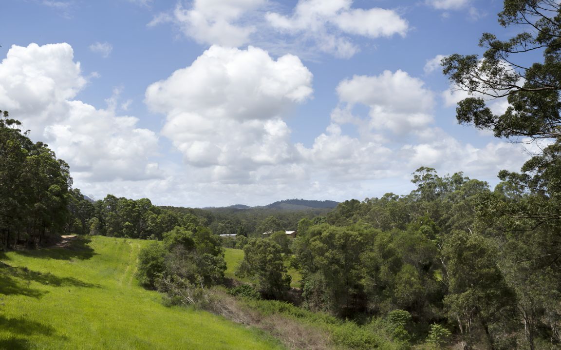 A Lush Green Field With Trees and Clouds in the Sky — Foreshore Kitchens In Yandina, QLD