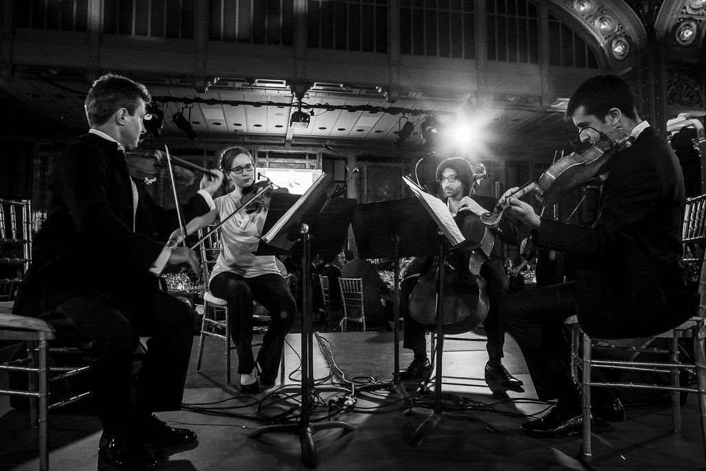 The Stony Brook Anello String Quartet