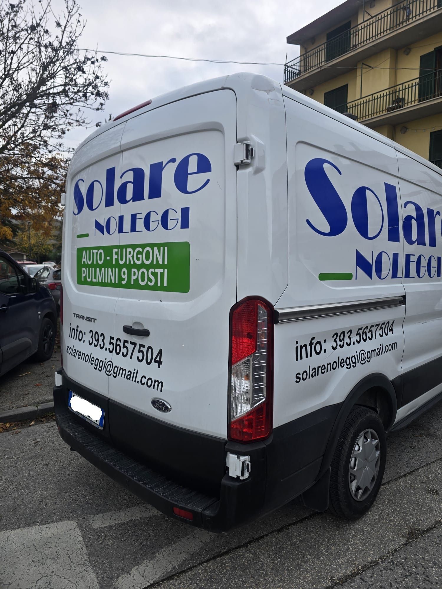 Scatoloni di cartone impilati in una stanza, con una grande pianta in vaso e una finestra.