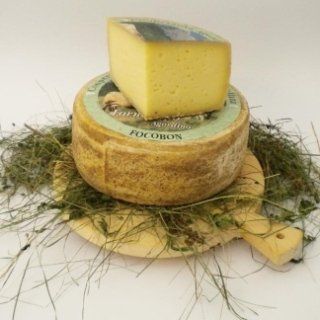formaggi