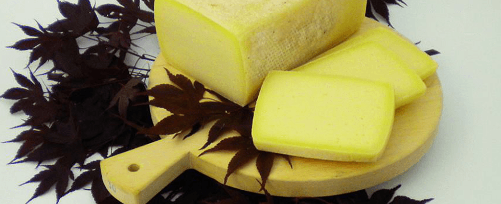 formaggio da piastra