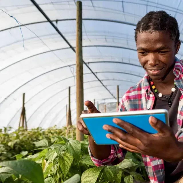 A person checking a tablet while standing inside a greenhouse filled with lush green plants.