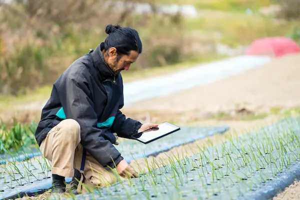 A person in a dark jacket crouching in a field, examining young crops while holding a digital tablet.