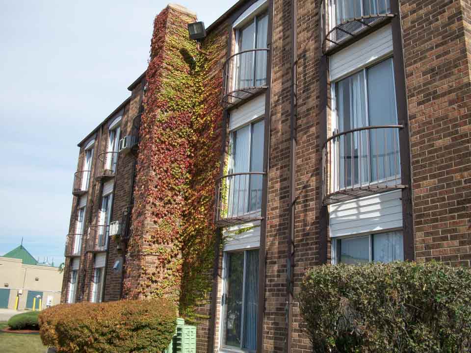 Front Window - Affordable Rental Apartments in Elgin, IL