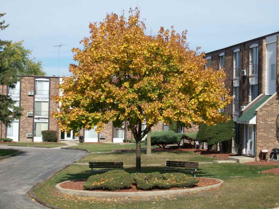 Tree in the Front - Affordable Rental Apartments in Elgin, IL