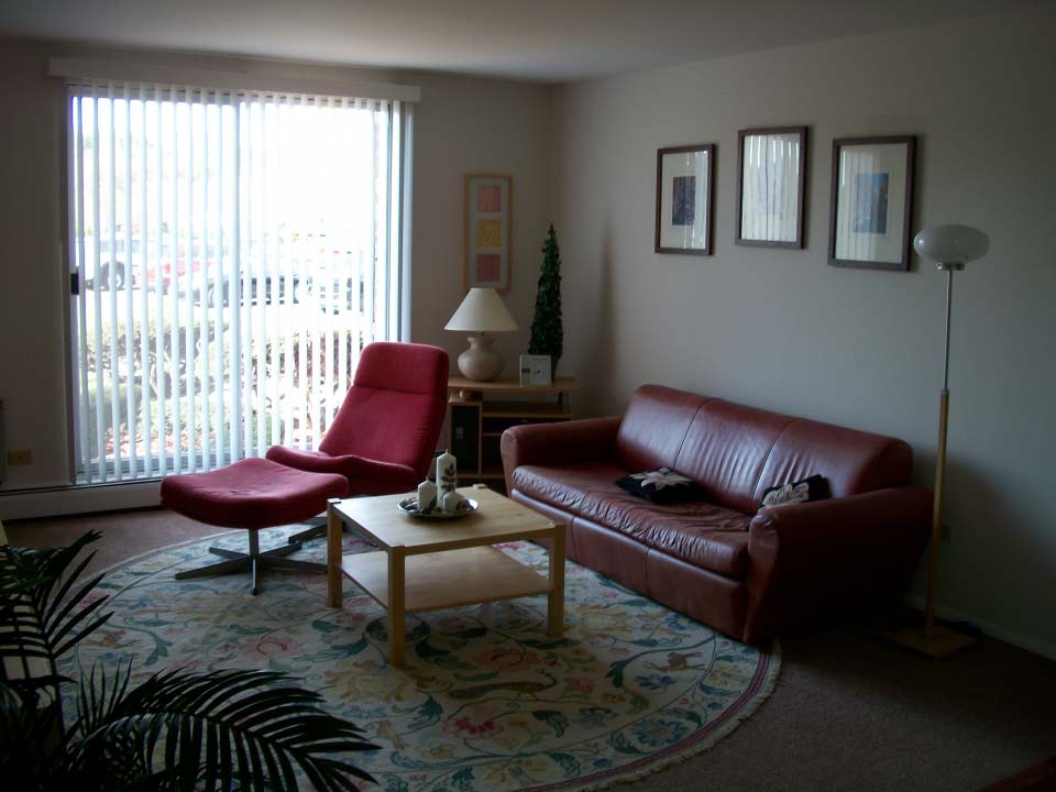Living Room - Affordable Rental Apartments in Elgin, IL