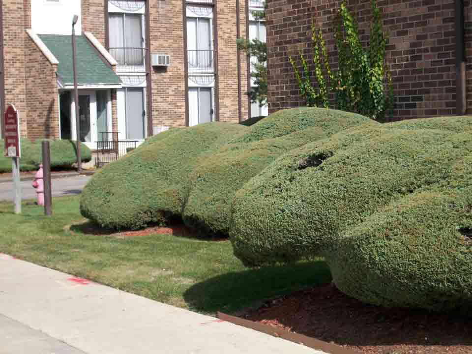 Landscapes - Affordable Rental Apartments in Elgin, IL